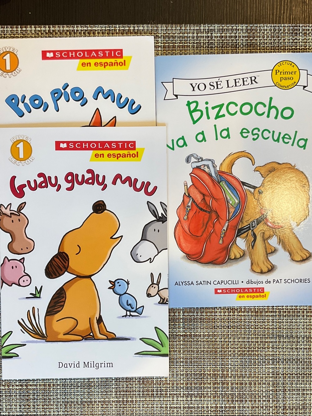 3 Scholastic Spanish Reading Books NWT
